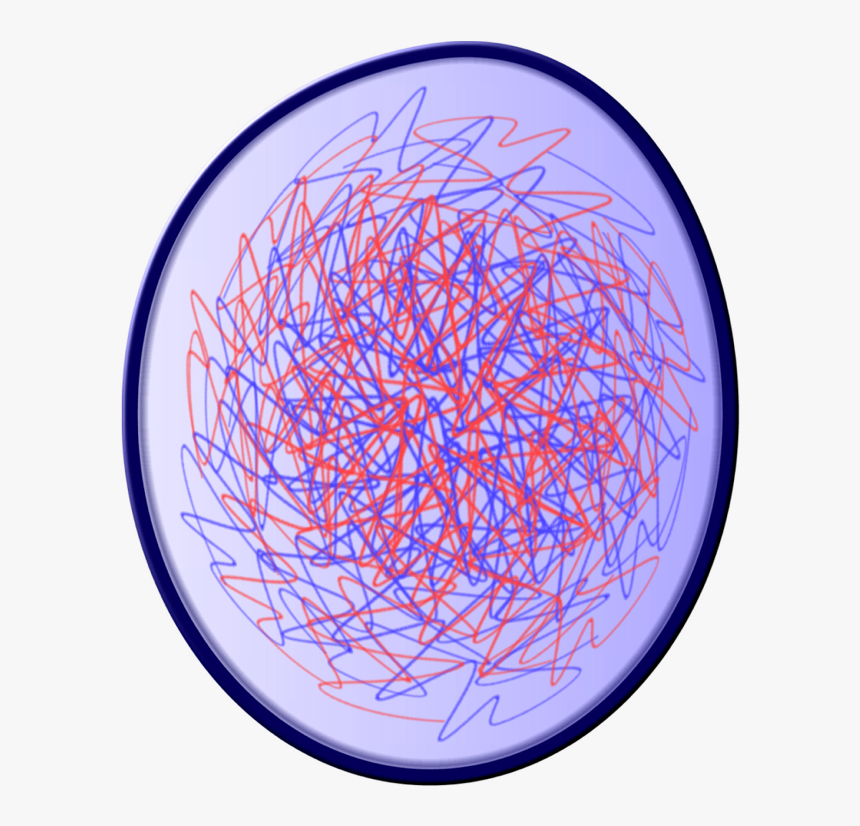 Chromatin Drawing Mitosis, HD Png Download, Free Download