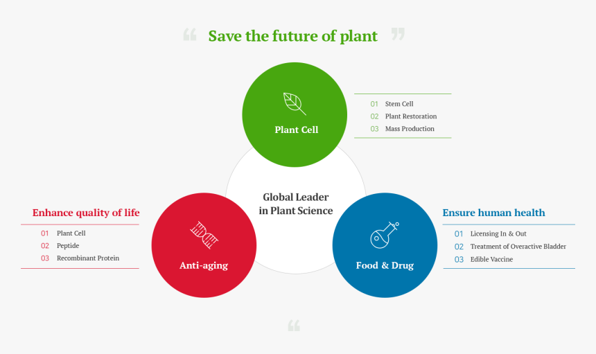 Plant Cell Png, Transparent Png, Free Download