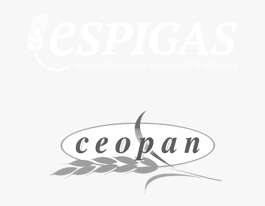 Espigas Png, Transparent Png, Free Download