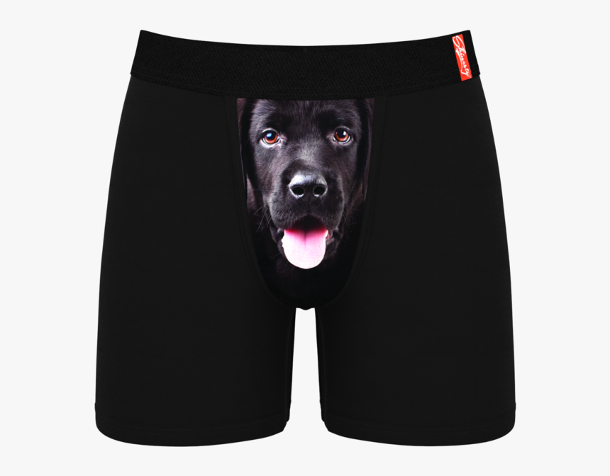 Men"s Dog Print Ball Hammock Boxer Briefs, HD Png Download, Free Download