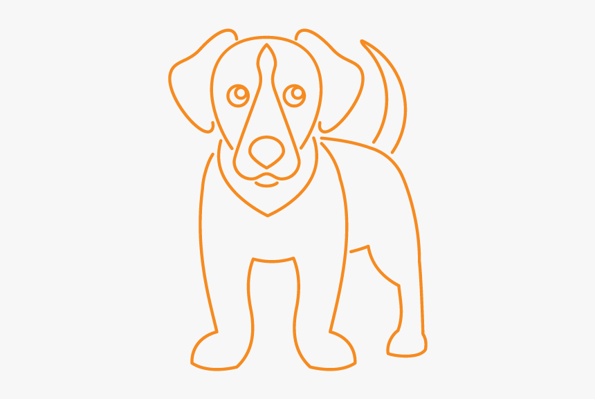 Black Lab Png, Transparent Png, Free Download