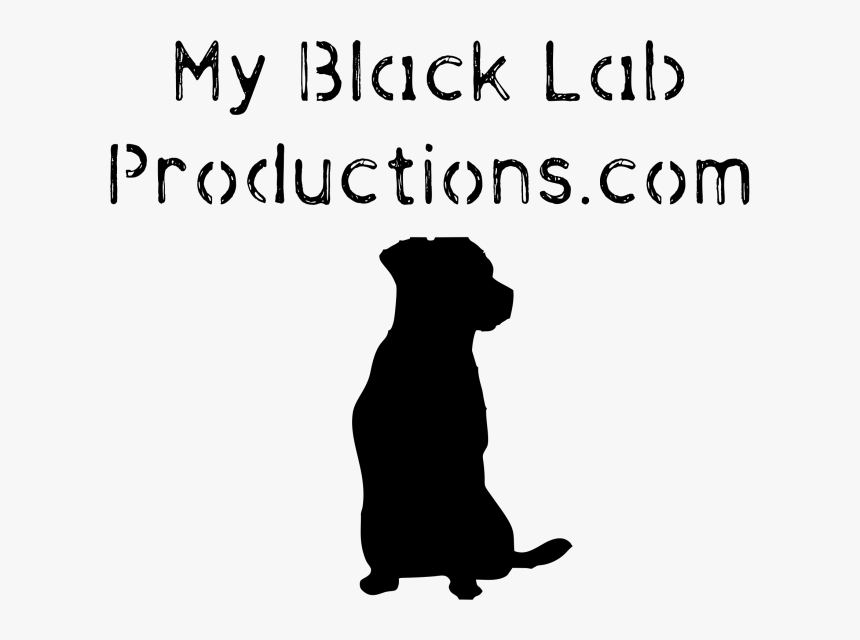 Black Lab Png, Transparent Png, Free Download