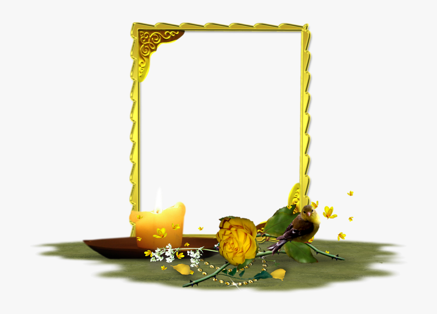 Rose, Yellow, Flower, Picture Frame, HD Png Download, Free Download