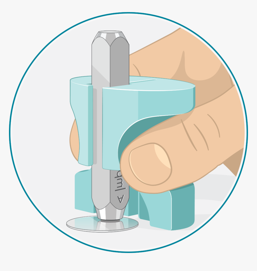 Optional Step, HD Png Download, Free Download