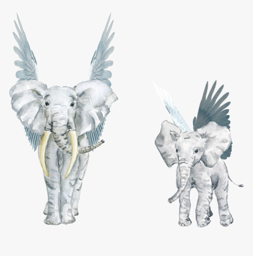 #watercolor #elephant #wings #angel #matriarch #feathers, HD Png Download, Free Download