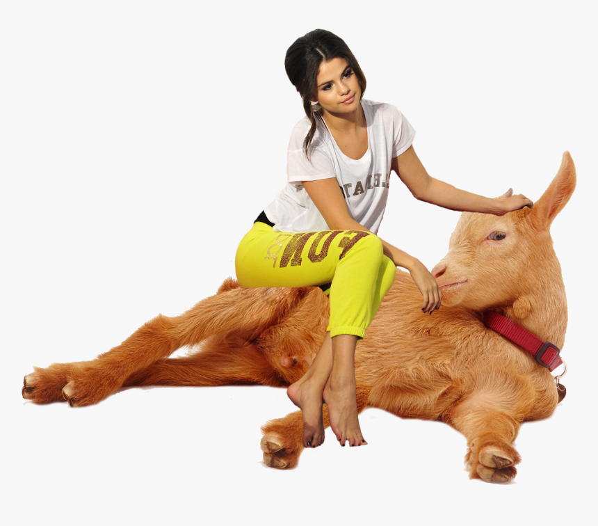 Selena Having A Relaxing Goat Sit, HD Png Download, Free Download