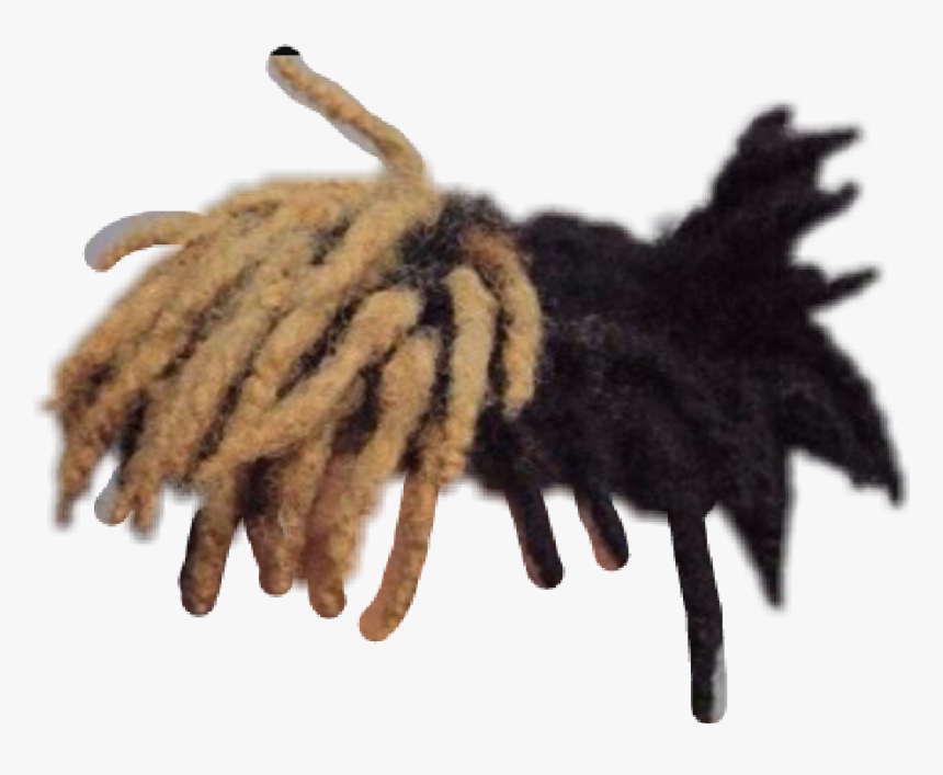 Dread Drawing Dreadlock Hairstyle, HD Png Download, Free Download