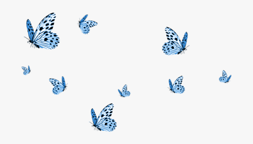 #cute #aesthetic #tumblr #butterflies #butterfly #blue, HD Png Download, Free Download