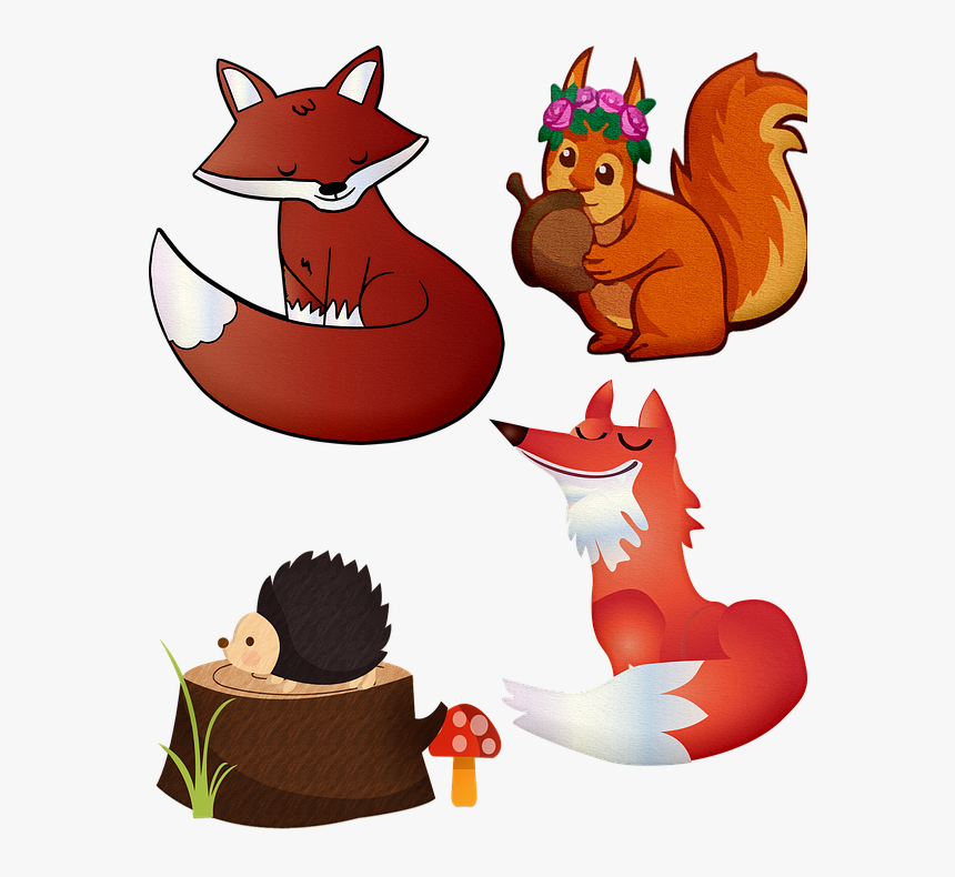 Fox, Forest Animals, Squirrel, Hedgehog, Animal, Forest, HD Png Download, Free Download