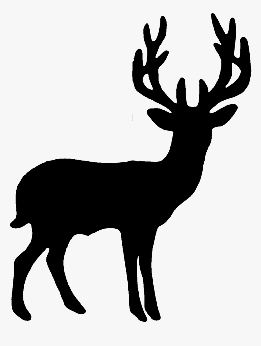 Cerf Animal Deer Free Photo, HD Png Download, Free Download