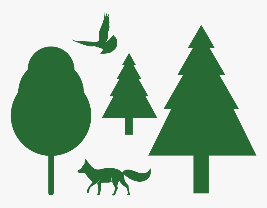 Healthy Forests & Wildlife Graphic, HD Png Download, Free Download