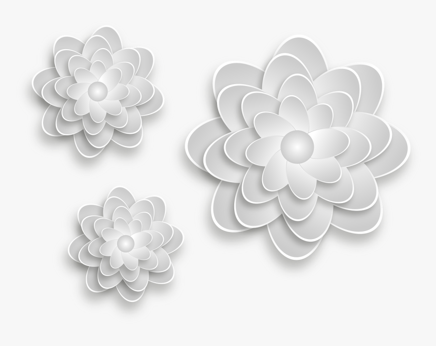Flowers Grey Flower Free Photo, HD Png Download, Free Download