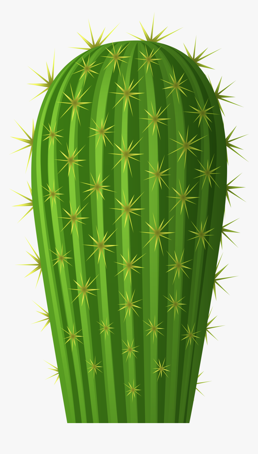 Transparent Mexican Cactus Clipart, HD Png Download, Free Download