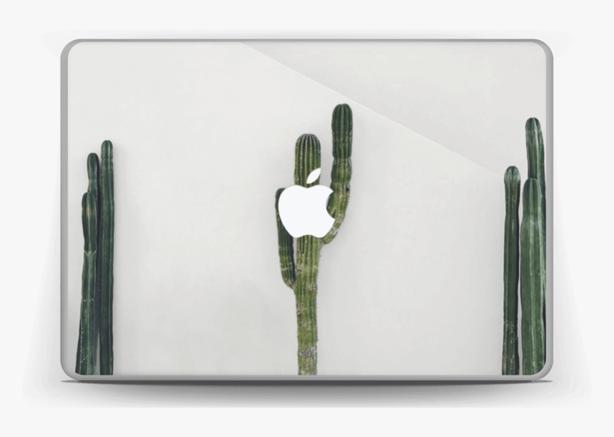 Mexican Cactus Skin Macbook Pro 13”, HD Png Download, Free Download