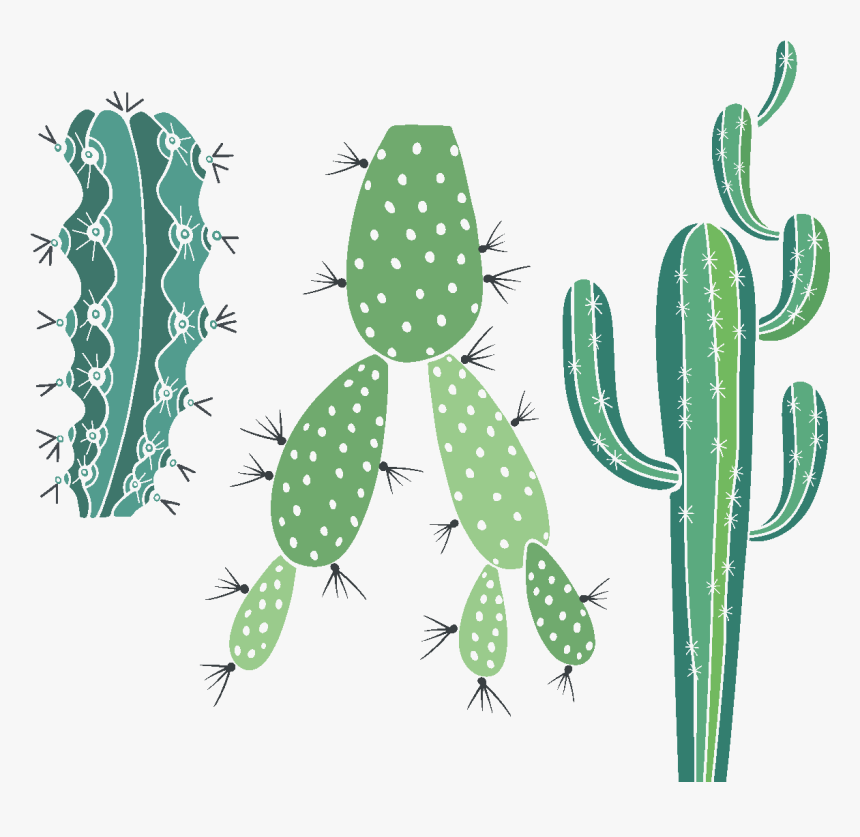 Mexican Cactus Png, Transparent Png, Free Download