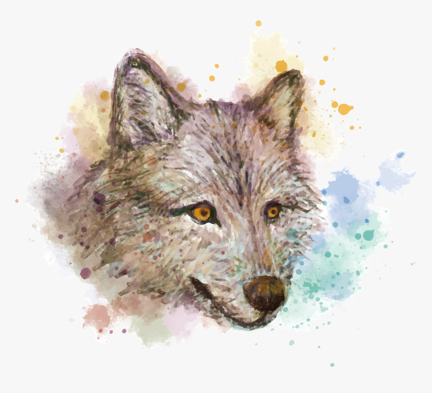 Gray Watercolor Painting Fox, HD Png Download, Free Download