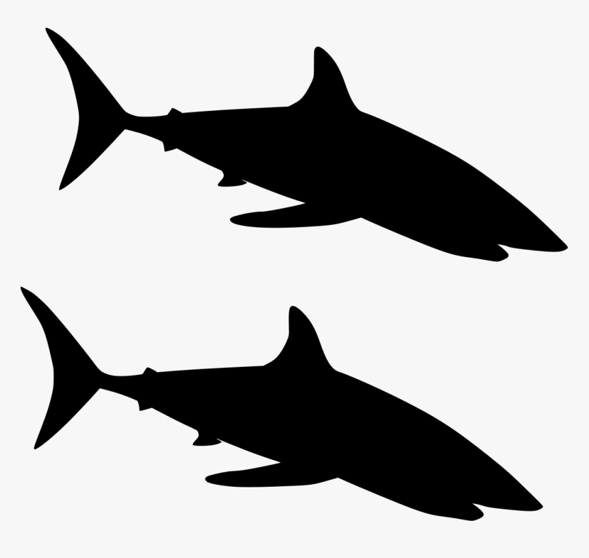 Black Blue Shark Clipart Transparent Background, HD Png Download, Free Download