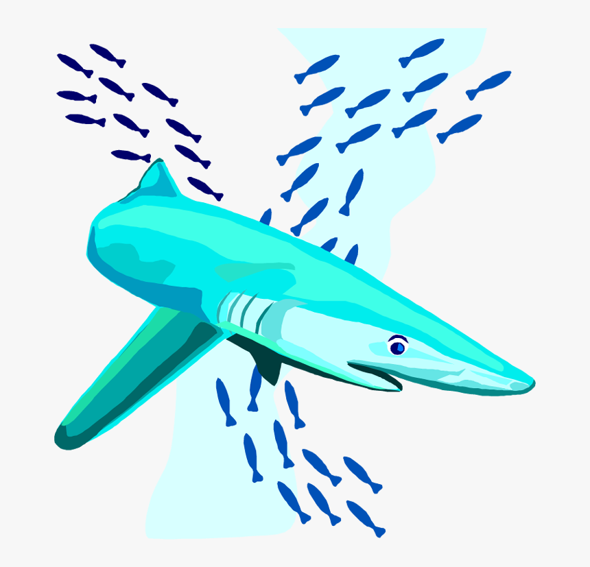 Transparent Shark Clipart Png, Png Download, Free Download