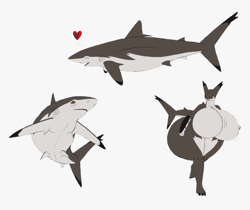 Vector Sharks Thresher Shark, HD Png Download, Free Download