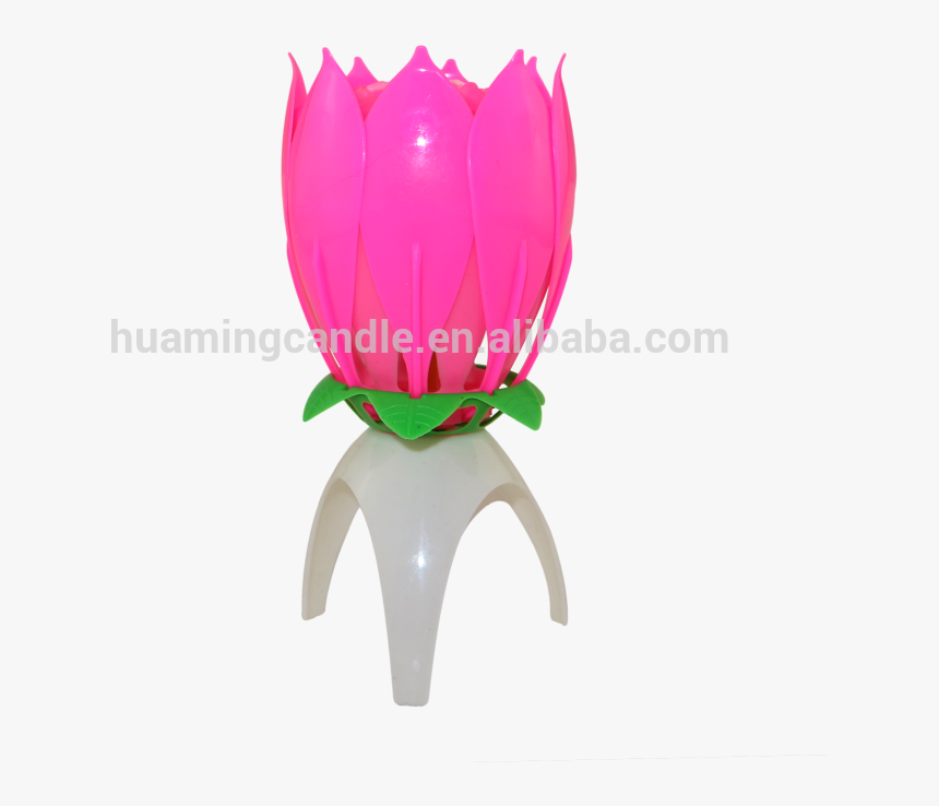 Funny Lotus Flower Shape Singing Music Candle, HD Png Download, Free Download