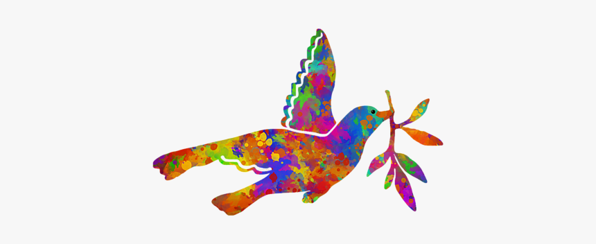 Dove With Olive Branch Png, Transparent Png, Free Download