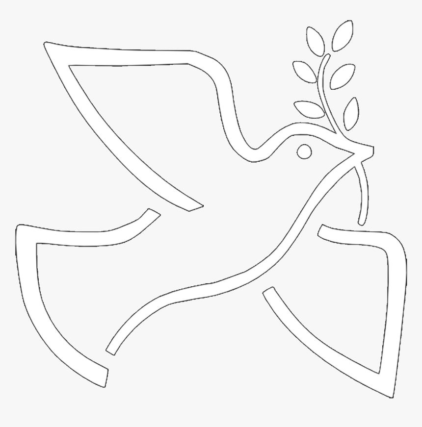 Dove With Olive Branch Png, Transparent Png, Free Download