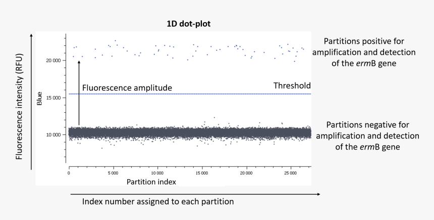 Evagreen Dotplot, HD Png Download, Free Download