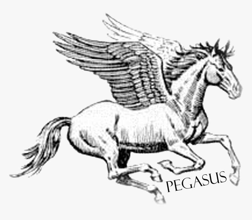 Transparent Pegasus Clipart, HD Png Download, Free Download