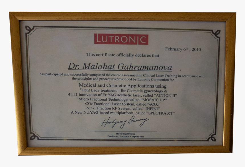 Melahat Gahramanova Certificate 5, HD Png Download, Free Download