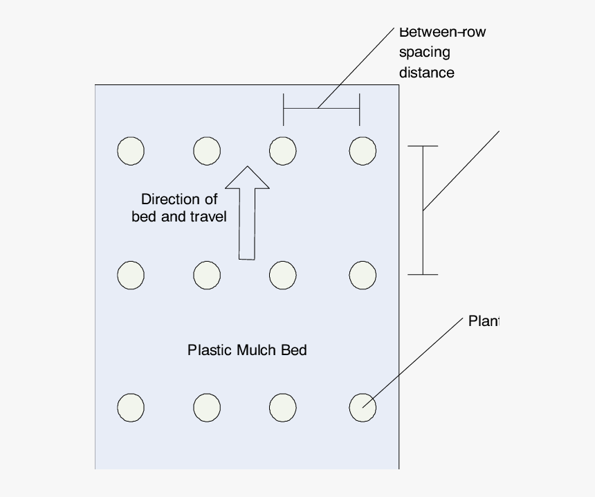 Bed Top View Png, Transparent Png, Free Download