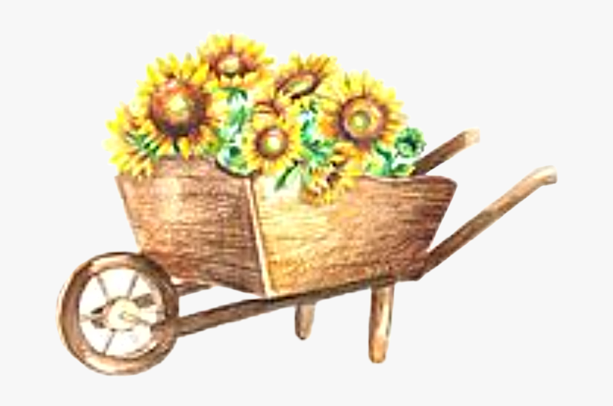 #watercolor #wheelbarrow #flowers #floral #sunflowers, HD Png Download, Free Download