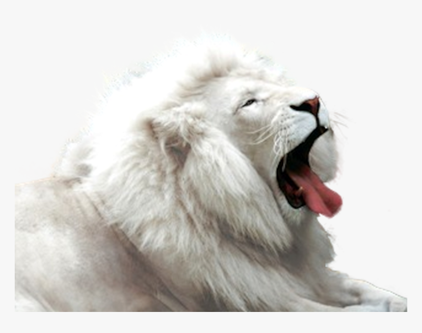 Transparent Lion Emoji Png, Png Download, Free Download