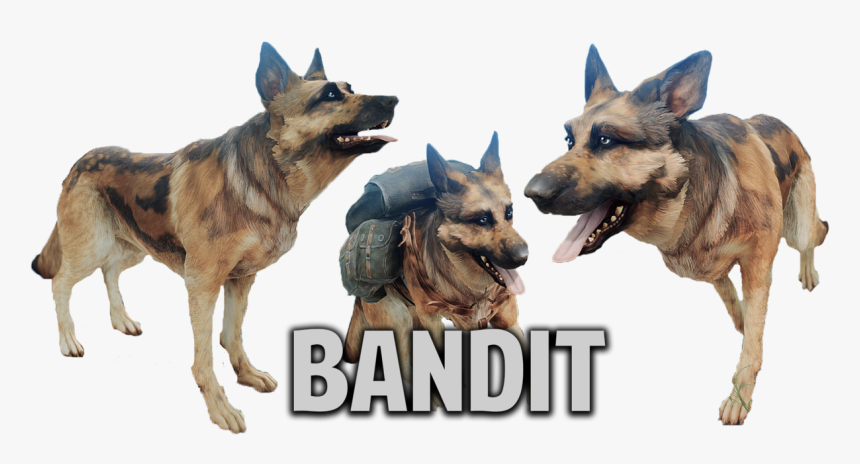 Dogmeat Png, Transparent Png, Free Download