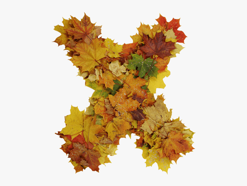 Autumn Font, HD Png Download, Free Download