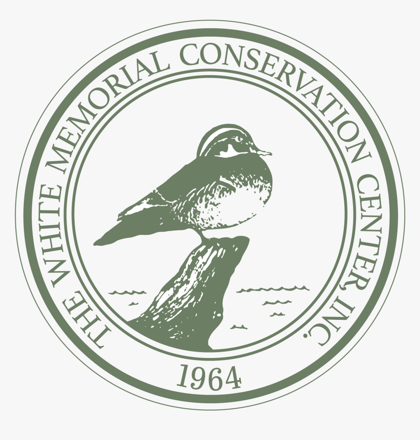 White Memorial Conservation Center, HD Png Download, Free Download