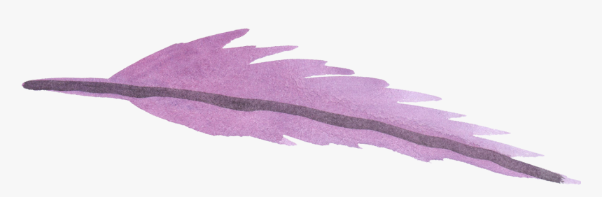 Watercolor Feather Png, Transparent Png, Free Download