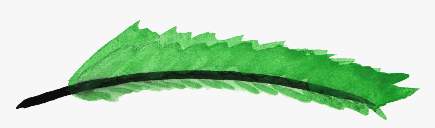 Watercolor Feather Png, Transparent Png, Free Download