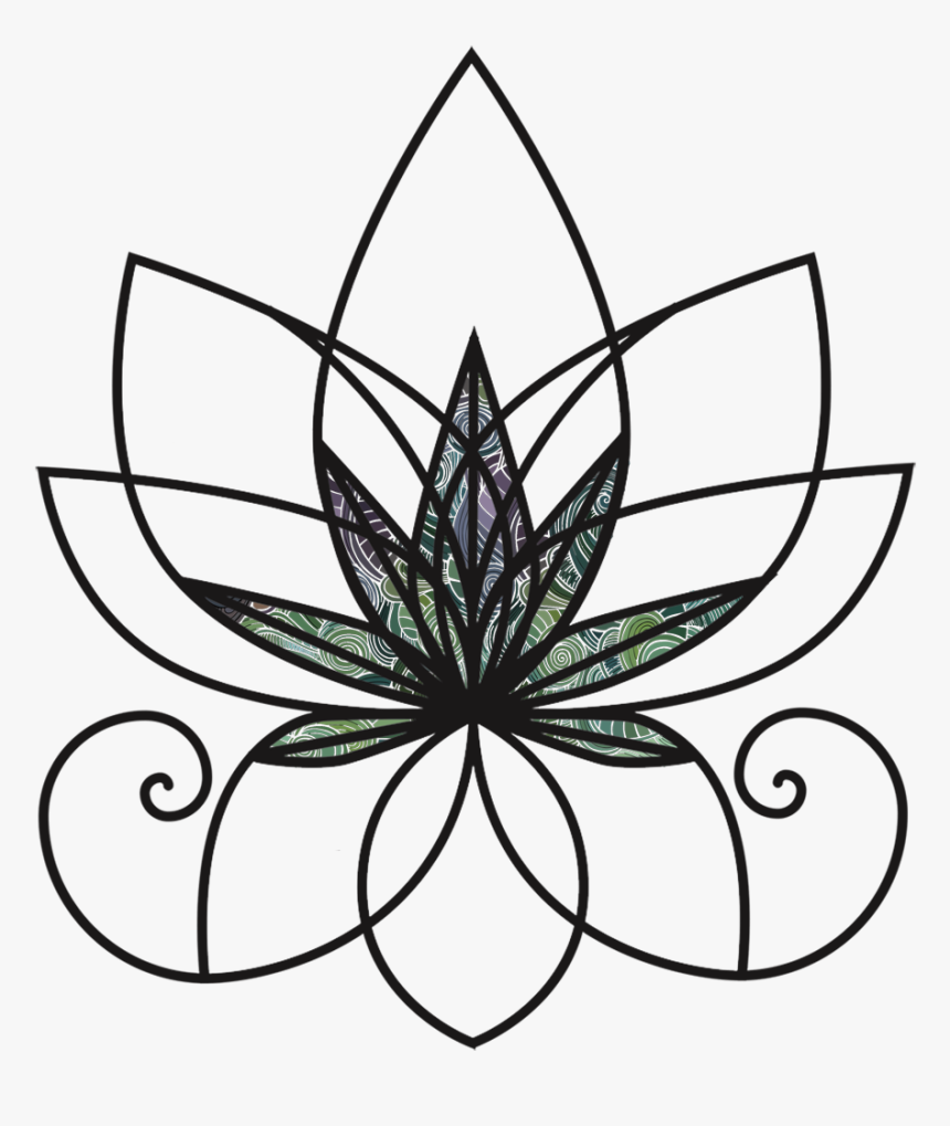 Transparent White Lotus Png, Png Download, Free Download