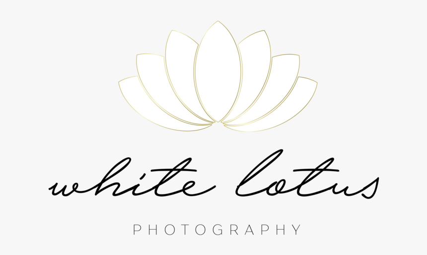 White Lotus Png, Transparent Png, Free Download