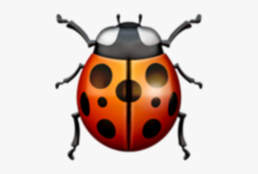 #freetoedit #red #black #ladybug #cute, HD Png Download, Free Download