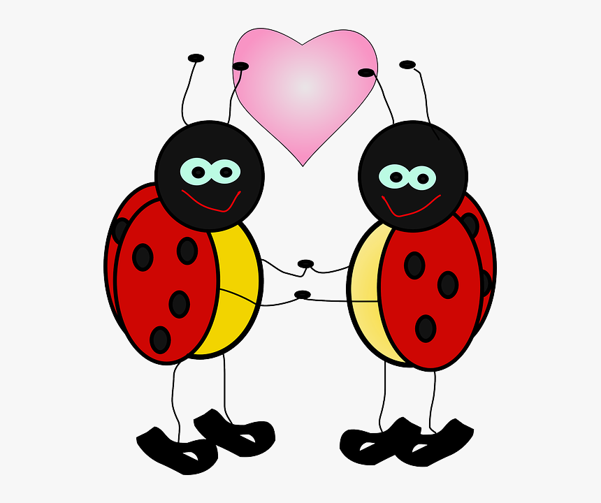 Cute Ladybug Png, Transparent Png, Free Download