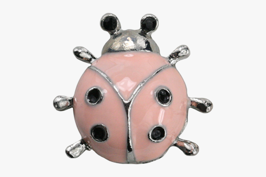 Cute Ladybug Png, Transparent Png, Free Download