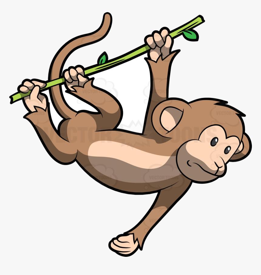 Monkey Swinging Clipart Free Best Transparent Png, Png Download, Free Download