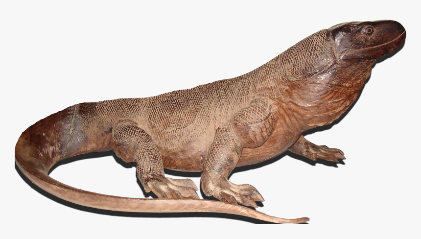 Komodo Dragon Png, Transparent Png, Free Download