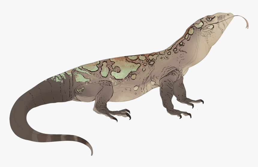 Komodo Dragon , Png Download - Komodo Dragon, Transparent Png, Free Download