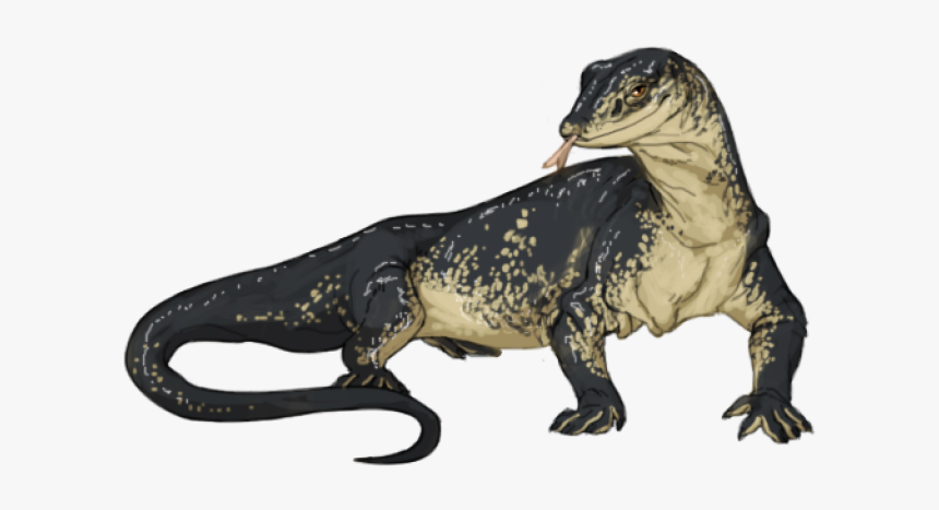 Komodo Dragon Png Transparent Images - Monitor Lizard Transparent Background, Png Download, Free Download