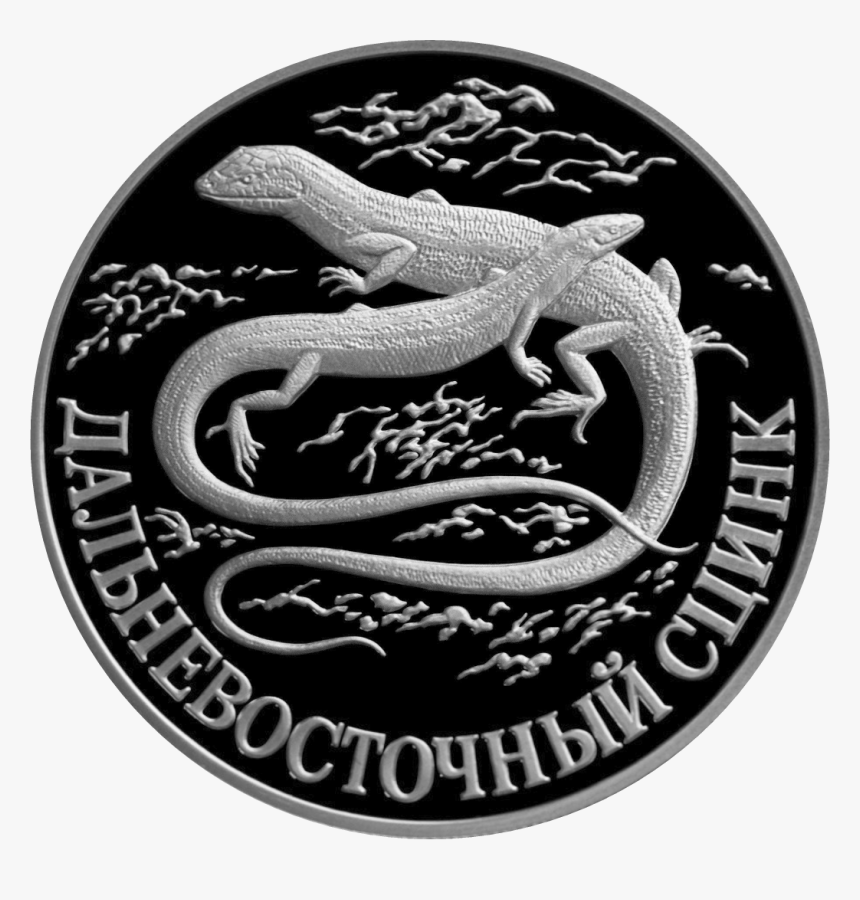 Rr5109-0036r Дальневосточный Сцинк, HD Png Download, Free Download