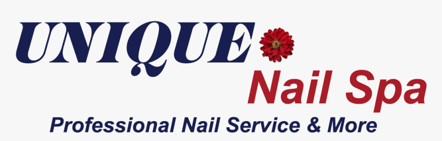 Unique Nail Spa - Barberton Daisy, HD Png Download, Free Download