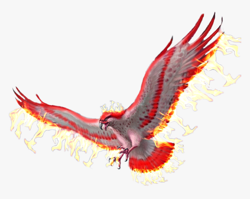 Golden Eagle , Png Download - Golden Eagle, Transparent Png, Free Download