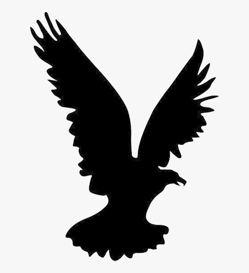 Eagle White Tailed Clipart Angry Free On Transparent - Eagle Silhouette Hd Png, Png Download, Free Download